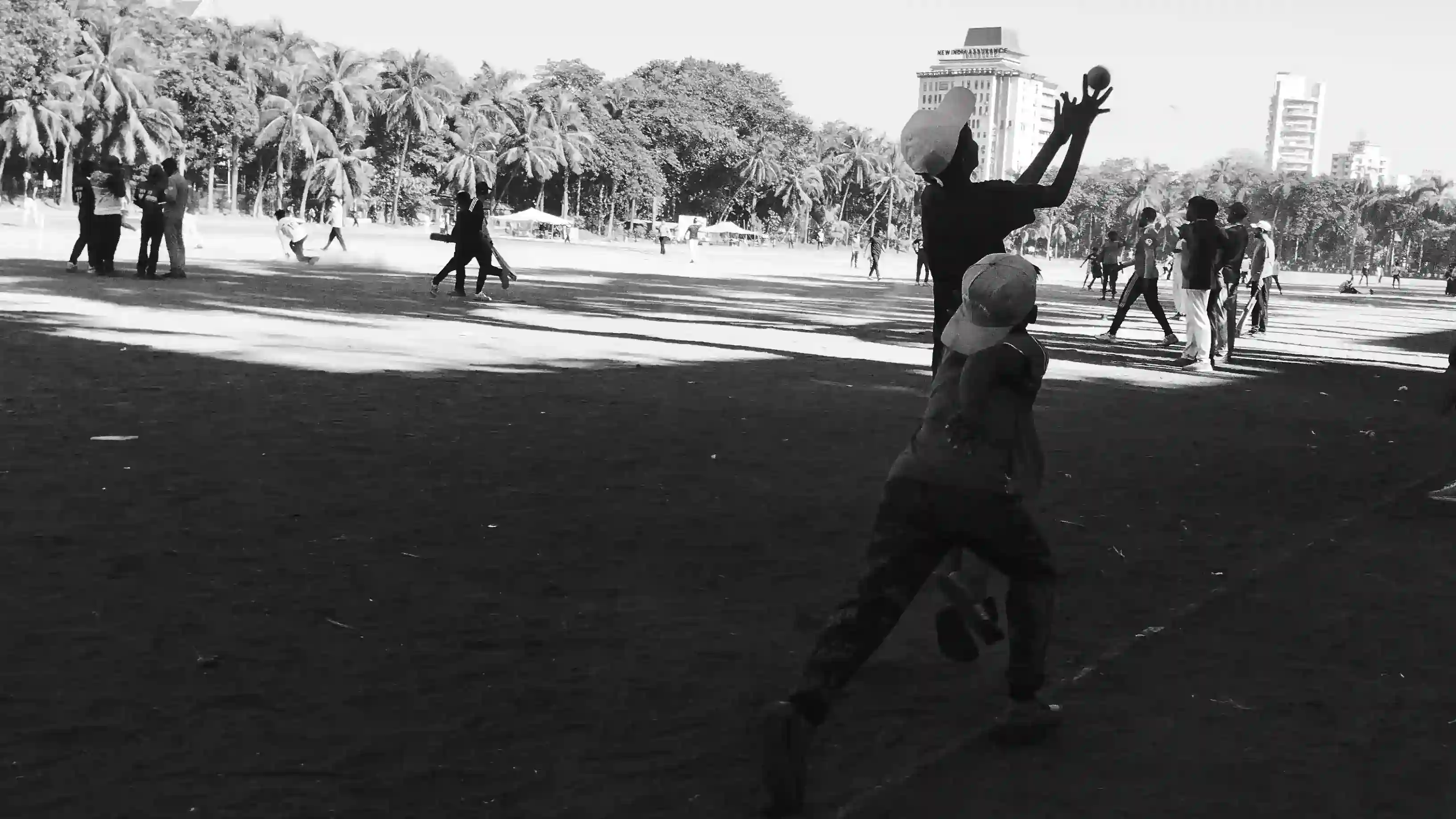 Celebrating a wicket