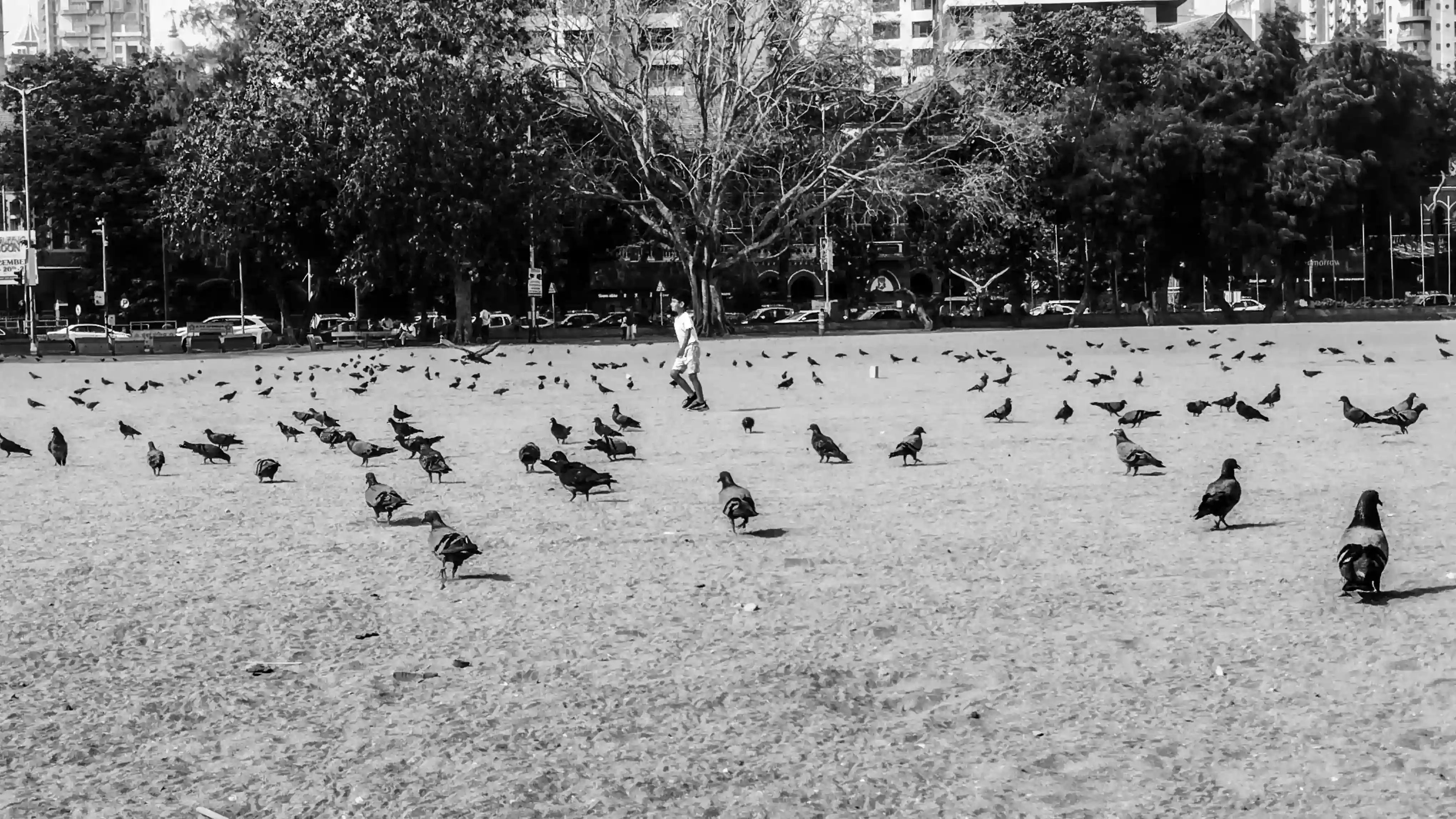 Candid in Monochrome